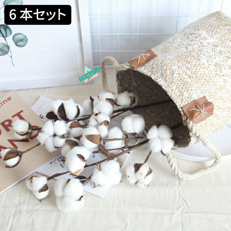 6本 ドライ花卉 花束 造花 木綿 バレンタインデー クリスマス飾り 可愛い 枯れない花 人工蘭造花 フラワー 結婚式/お祝い/お祭り/プレゼント/贈り物 玄関/部屋/お宅/店装飾 デコレーション 6本 ドライ花卉 花束 造花 木綿 バレンタインデー クリスマス飾り 可愛い 枯れない花 人工蘭造花 フラワー 結婚式/お祝い/お祭り/プレゼント/贈り物 玄関/部屋/お宅/店装飾 Yibao