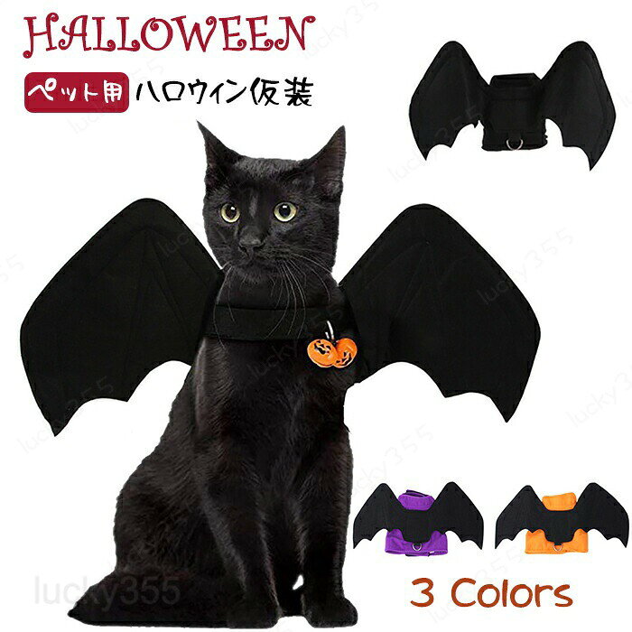 楽天市場】悪魔猫の通販