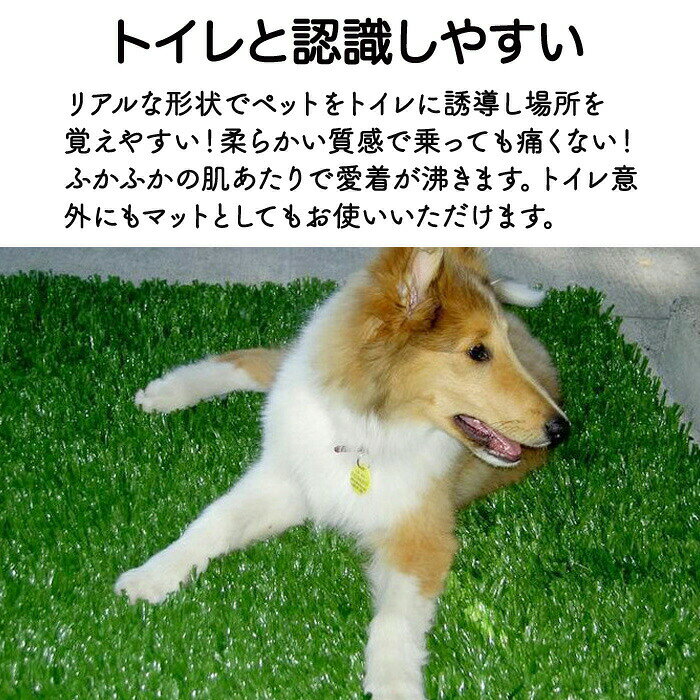 LUCKY355のペット用人工芝 人工芝 ペット用品 多機能性 40cm×51.5cm 犬 ペットシート おしっこマット ペットトイレシート 室内用トイレトレー 人工芝マット トイレマット 遮熱 ペットトイレ ペットシーツ トイレ しつけ 洗える 犬用 子犬 ペット用トイレ 超高密度 耐火性 リアル芝｜アングル3