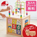 【名入れ・ラッピング無料】【レビュー特典】 Ed.Inter エド・インター GENI ジェニ 森のあそび箱 カタチ 数あそび 森のあそび道具 型はめ 知育玩具...