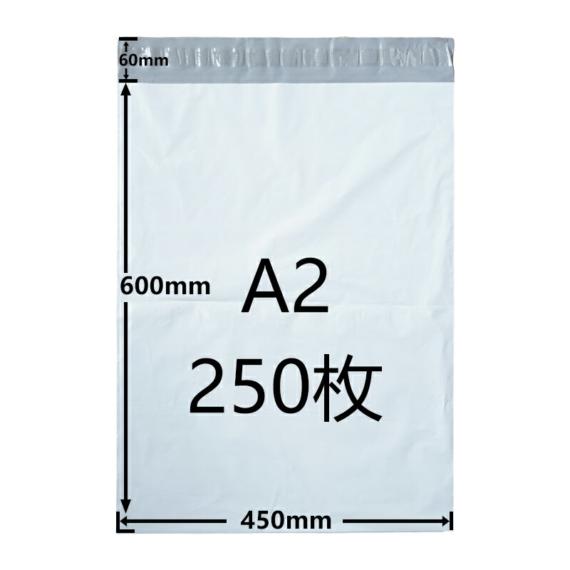 [250ĥå]ۥӥˡ A2 ۥݥ  450mm600mm ޤ֤60mm ɿ    Ʃʤ ϥơ[...