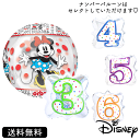 プレゼント バルーン ミニー ミニーマウス サプライズ ギフト パーティー Balloon Party 風船 お祝い 選べる present