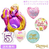 ץĥ̵ Х롼  ˤ 饯 ե ѡƥ Birthday Balloon Party ǥˡ disney   