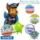 パウパトロール パウパト お祝い メッセージ バルーン パーティー お祝い 誕生日 サプライズ プレゼント 周年 入学祝い
