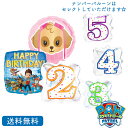 パウパトロール パウパト スカイ【送料無料】 バルーン 誕生日 お祝い キャラクター ギフト パーティ Birthday Balloon Party 風船 装飾 あす楽