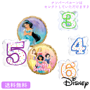 バースデー プレゼント バルーン ジャスミン アラジン サプライズ ギフト パーティー 風船 誕生日 誕生会 お祝い ディズニー ディズニープリンセス プリンセ...