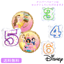 バースデー プレゼント バルーン サプライズ 美女と野獣 ベル ギフト パーティー 風船 誕生日 誕生会 お祝い ディズニー ディズニープリンセス プリンセス ...
