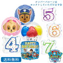 プレゼント バースデー パウパトロール パウパト スカイ チェイス インサイダー ナンバー バルーン サプライズ ギフト パーティー Birthday Balloon Party 風船 誕生日 誕生会 お祝い
