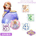 ソフィア ディズニー バースデー プレゼント バルーン サプライズ ギフト パーティー Birthday Balloon Party 風船 誕生日 誕生会 お祝...