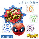 バースデー プレゼント バルーン サプライズ ギフト パーティー Birthday Balloon Party 風船 誕生日 誕生会 お祝い スーパーバースデー...