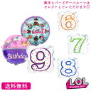 LOL o[Xf[ v[g o[ TvCY Mtg p[eB Birthday Balloon Party D a EFfBO o[d j LOLTvCY @o[@io[o[