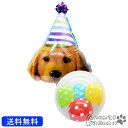 犬 プレゼント バースデー バルーン サプライズ ギフト パーティー Birthday Balloon Party 風船 誕生日 誕生会 お祝い 出産祝い パー...