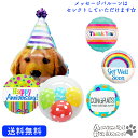 メッセージバルーン 犬 プレゼント バースデー バルーン アニマル サプライズ ギフト 浮かべてお届け パーティー Birthday Balloon Party 風船 誕生日 誕生会 お祝い 出産祝い パーティー ドック 選べるメッセージバルーン