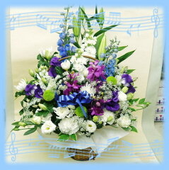 https://thumbnail.image.rakuten.co.jp/@0_mall/luckyflower/cabinet/img56957936.jpg