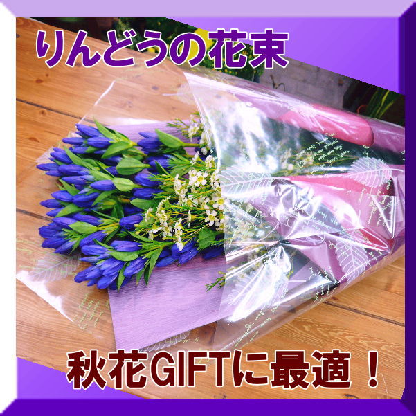 【敬老の日】【秋限定】　★秋GIFTに！誕生日！御祝！秋のお花！りんどう10本の花束【120サイズ】【あす楽対応_関東】【smtb-TD】【saitama】【楽ギフ_包装】