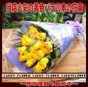 【青&黄バラ】【黄色オレンジ】【父の日】【御中元】【バレンタイン】【誕生日】お誕生日!御祝!店長おすすめ!バラ20本の花束!!【送料無料】『人気黄色系バラのお花で大切なあの人に思いを贈ろう!!』【バラ】