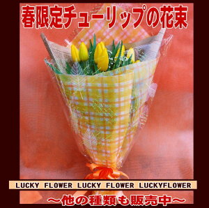 最終入荷【春限定花束】【成人式】【バレンタイン】季節の花チューリップの花束！！【100】『黄色系！チューリップ10本入りで大切なあの人に思いを贈ろう！！』