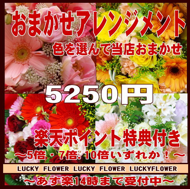 【ポイント】【おまかせ】【MIX】特別価格の季節のお花で当店おまかせ！色を選んで！5250円コース・誕生日・記念日に特別なGIFTを！豪華アレンジ！【送料無料】【smtb-TD】【saitama】【楽ギフ_包装】【御祝・開店】