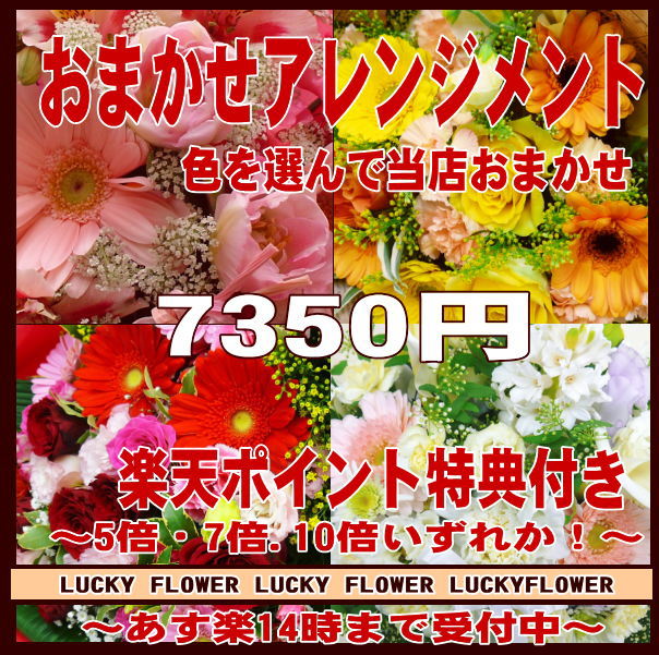 【ポイント】【おまかせ】【MIX】特別価格の季節のお花で当店おまかせ！色を選んで！7350円コース・誕生日・記念日に特別なGIFTを！豪華アレンジ！【送料無料】【smtb-TD】【saitama】【楽ギフ_包装】【御祝・開店】