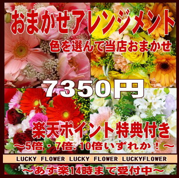 【ポイント】【おまかせ】【MIX】特別価格の季節のお花で当店おまかせ！色を選んで！7350円コース・誕生日・記念日に特別なGIFTを！豪華アレンジ！【送料無料】【smtb-TD】【saitama】【楽ギフ_包装】【御祝・開店】