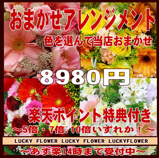 【ポイント】【おまかせ】【MIX】特別価格の季節のお花で当店おまかせ！色を選んで！8980円コース・誕生日・記念日に特別なGIFTを！豪華アレンジ！【送料無料】【smtb-TD】【saitama】【楽ギフ_包装】【御祝・開店】