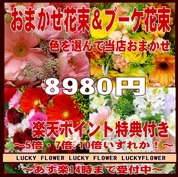 【〜の日に贈る花束】【ポイント】【おまかせ】【MIX】特別価格の季節のお花で当店おまかせ！色を選んで！8980円コース 誕生日 記念日に特別なGIFTを！豪華花束！【送料無料】【smtb-TD】【saitama】【楽ギフ_包装】【御祝 開店】