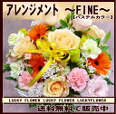 人気のパステルカラー系アレンジメント！〜FINE〜