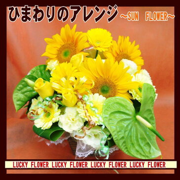 【父の日】【ひまわり】 【御中元】【夏限定】ひまわりのアレンジメント!〜SUNFLOWER〜【送料無料】御祝・記念日・誕生日【黄色オレンジ】