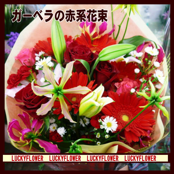 楽天Lucky Flower【夫婦】【赤】【限定】【成人式】【バレンタイン】【誕生日】★赤ガーベラ＆赤バラの花束！【送料無料】御祝・記念日・結婚祝い プレゼント 発表会 新築祝い 結婚記念日 移転祝い 贈り物 退職祝い 出産祝い 寿 退職 お歳暮　スイーツ