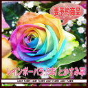 【父の日】【御中元】発送予約商品!レインボーバラの5本の花束!!【送料無料】誕生日祝い プレゼント 発表会 新築祝い 結婚記念日 移転祝い 贈り物 退職祝い 出...