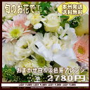 【おまかせ】【あす楽】店長おすすめ!赤字覚悟の最安値に挑戦!!アレンジ2890【送料無料】白・淡色系【最安値】
