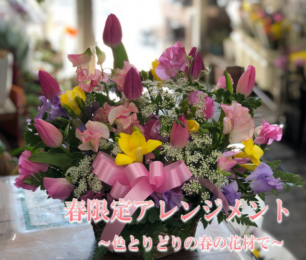 【ひな祭り】【春限定】【春限定アレンジ】卒業祝・歓送迎に！誕生日！御祝！カラフル春のアレンジ！【送料無料】【あす楽対応_関東】