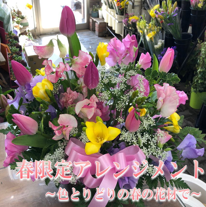 �ڤҤʺפ�ۡڽո���ۡڽո��ꥢ��󥸡�´�Ƚˡ������ޤˡ�����������ˡ�����ե�դΥ���󥸡�������̵���ۡڤ������б�_�����