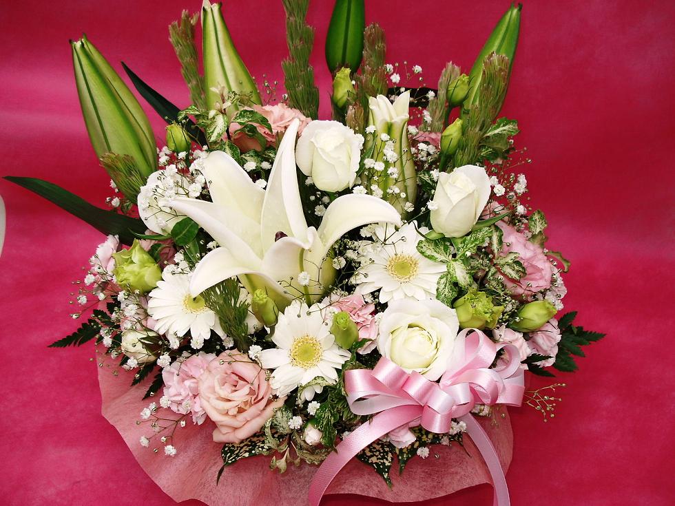 ��ø���ۥ磻�ȡ�ŹĹ�������ᡪ��ߥԥ󥯤β����ʥ���󥸡���5775������̵���ۥۥ磻�ȡ��ԥ󥯷ϡڤ�����ߡ��涡����