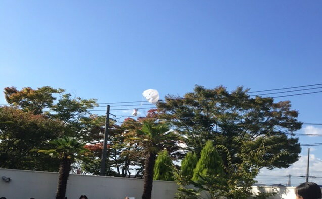 [送料無料]　　オリジナル　　オリジナル演出　パラシュートベア　バズーカ　ブーケトス　バズーカブロッコリートス　ゼクシィ激安　持込　チャペル　フラワーシャワー　