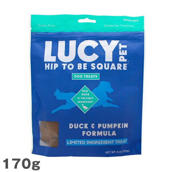 乐天商城 - 犬用 おやつ ルーシーペット ヒップトゥビースクエア ドッグトリーツ ダック＆パンプキン LUCY PET 170g しつけ ご褒美 トレーニング