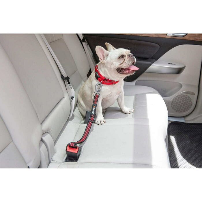 ラッキーペットの犬用 カーシートベルト ルークラン ドッグネス ロング ファイヤーブリック 犬用シートベルト 車 ドライブ 安全 ペット用品｜アングル2