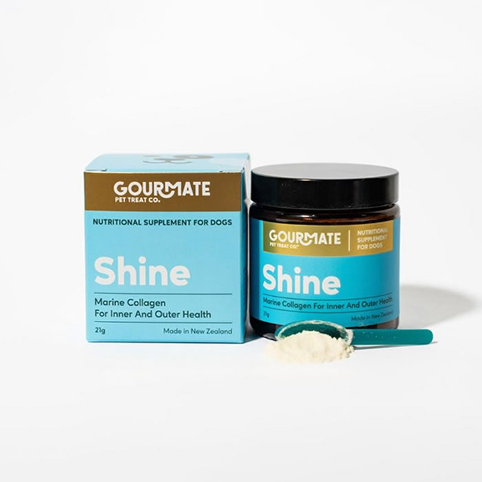 乐天商城 - 【取り寄せ品】犬猫用 サプリメント グルメイト GOURMATE シャイン 21g 皮膚 被毛 消化器サポート パウダー ペット用サプリ