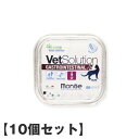 <レビュー投稿で特典あり>【10個セット】ベッツソリューション VetSolution 胃腸サポート ウェット猫用 100g