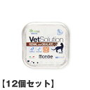 <レビュー投稿で特典あり>【12個セット】ベッツソリューション VetSolution 尿中ストルバイトサポート ウェット猫用 100g