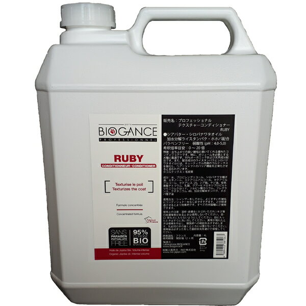 inO バイオガンス プロフェッショナルテクスチャリングコンディショナー RUBY 4L