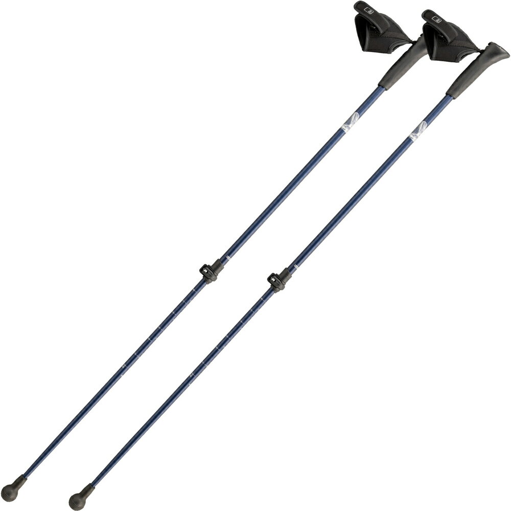 ���糧 Ŵ�Ͷ���� ���������󥰥ݡ���2���� �ͥ��ӡ� IMC-152N ��IronmanClub��