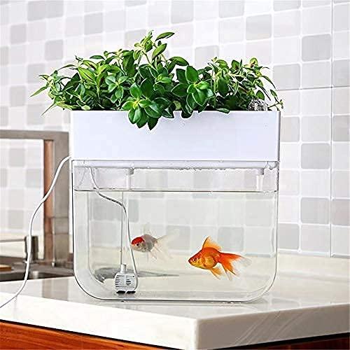 おしゃれ アクアリウム アクアポニックス 水耕栽培システム 有機セルフ給水プランタ 魚 植物 ongolia 飼育 栽培