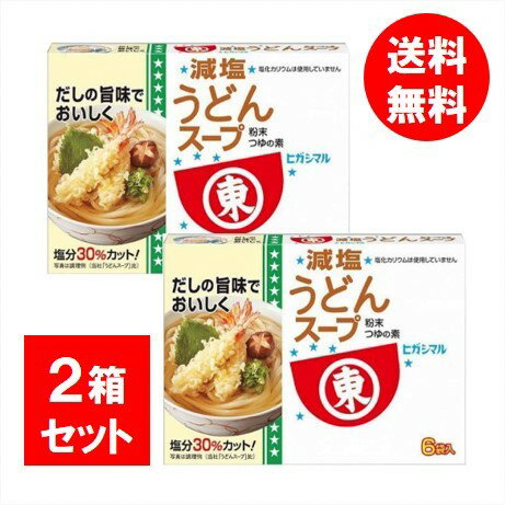 【2箱セット】ヒガシマル醤油 減塩うどんスープ 48g（8g×6袋入） 関西風だし 塩分カット