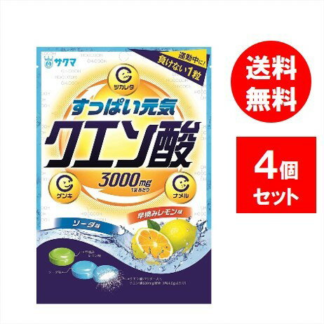 サクマ製菓 クエン酸キャンディ 70g×4個