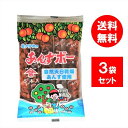 港常 自然あんずボー 3袋セット(15本) あんず 杏子 駄菓子 アイスキャンディー