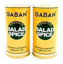 ギャバン サラダスパイス 缶入 100g ×2個 シーズニング GABAN