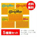 【5種類セット】大塚製薬 カロリーメイト ブロック チョコ味 バニラ味 フルーツ味 メープル味 チーズ味 アソート