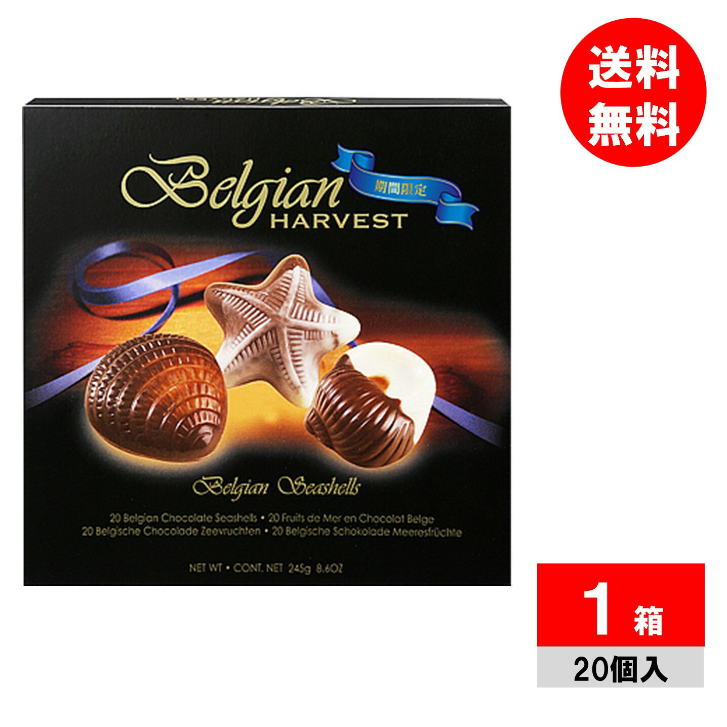 ベルギー チョコレート シーシェルチョコ 245g バレンタインデー ホワイトデー ギフト用 贈答品