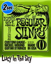 ERNIEBALL ( アーニーボール ) エレキ弦 Regular Slinky 2221［.010-.046］2set